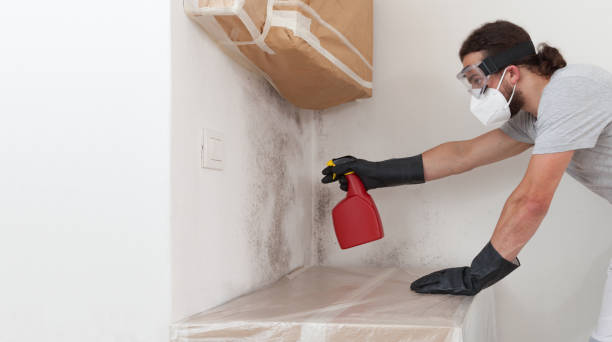 Professional Basement Mold Removal technician working in Stone Mountain, GA