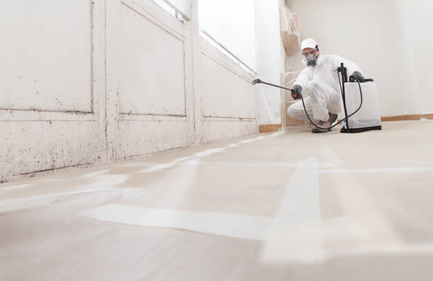 24/7 Emergency Basement Mold Removal experts in Stone Mountain, GA